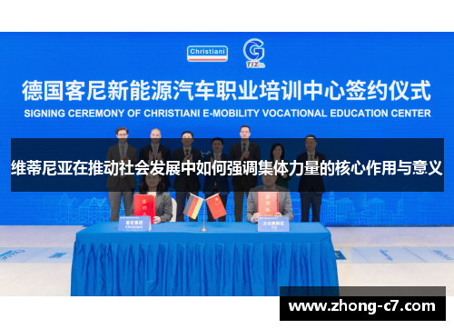 维蒂尼亚在推动社会发展中如何强调集体力量的核心作用与意义