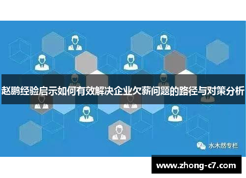 赵鹏经验启示如何有效解决企业欠薪问题的路径与对策分析