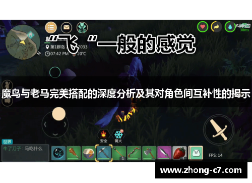 魔鸟与老马完美搭配的深度分析及其对角色间互补性的揭示